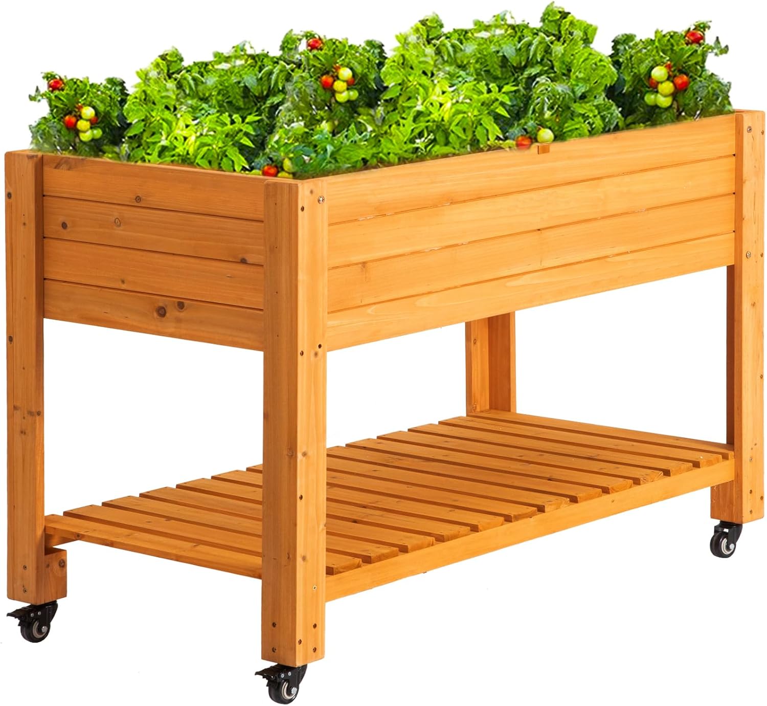 Raised Garden Bed - Tempat Tanam Kayu Terangkat, Kayu Alami,