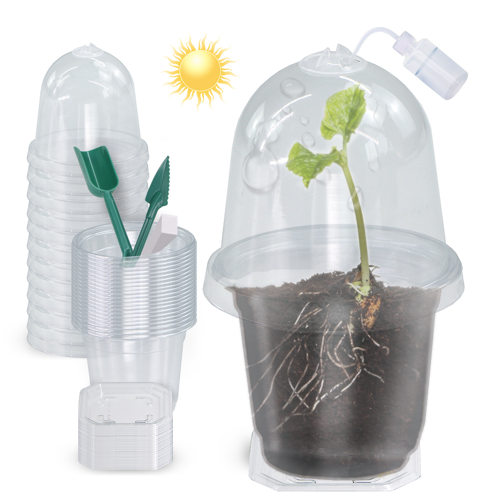 Seed Starter Tray - 160x90CM Terlihat Bening Tanaman Perkecambahan Piala