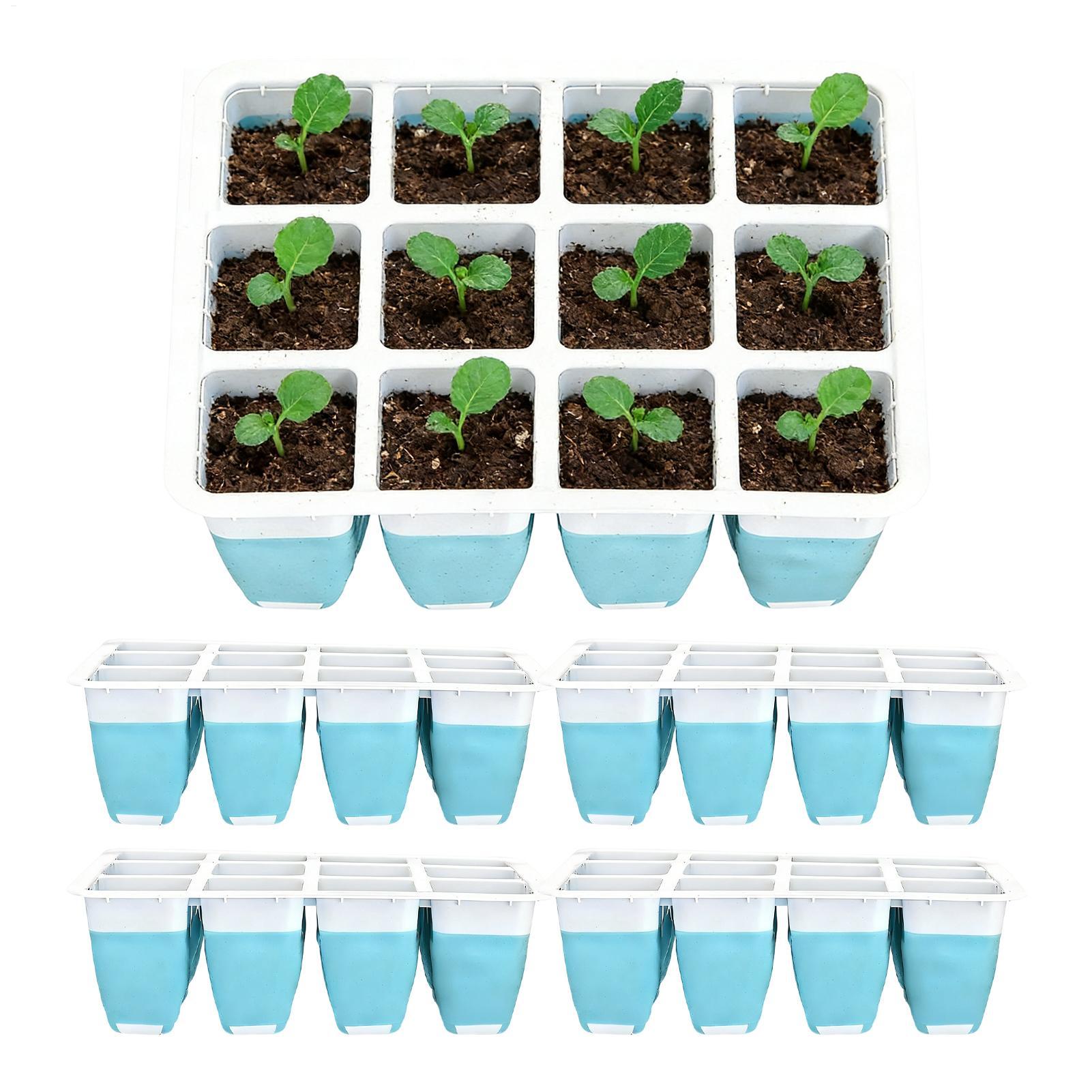Seed Starter Tray - 5 Paket Baki Semai Silikon 60