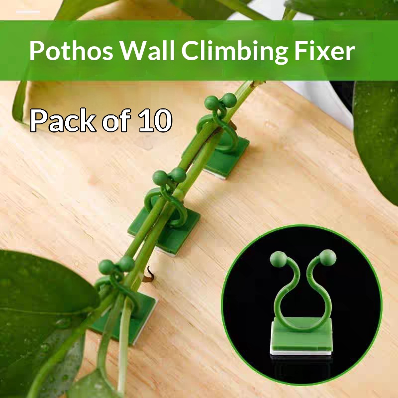 Indoor Herb Garden - Klip Perekat Tanaman Merambat untuk Dinding,