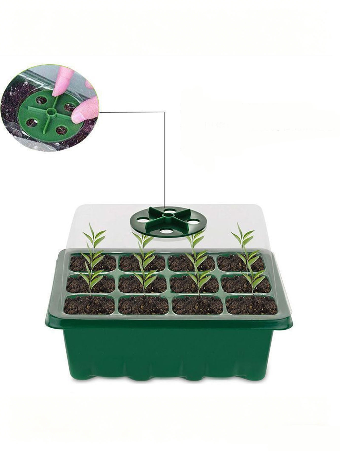 Seed Starter Tray - 1/2pc Baki Bibit 6/12 Lubang, Plastik