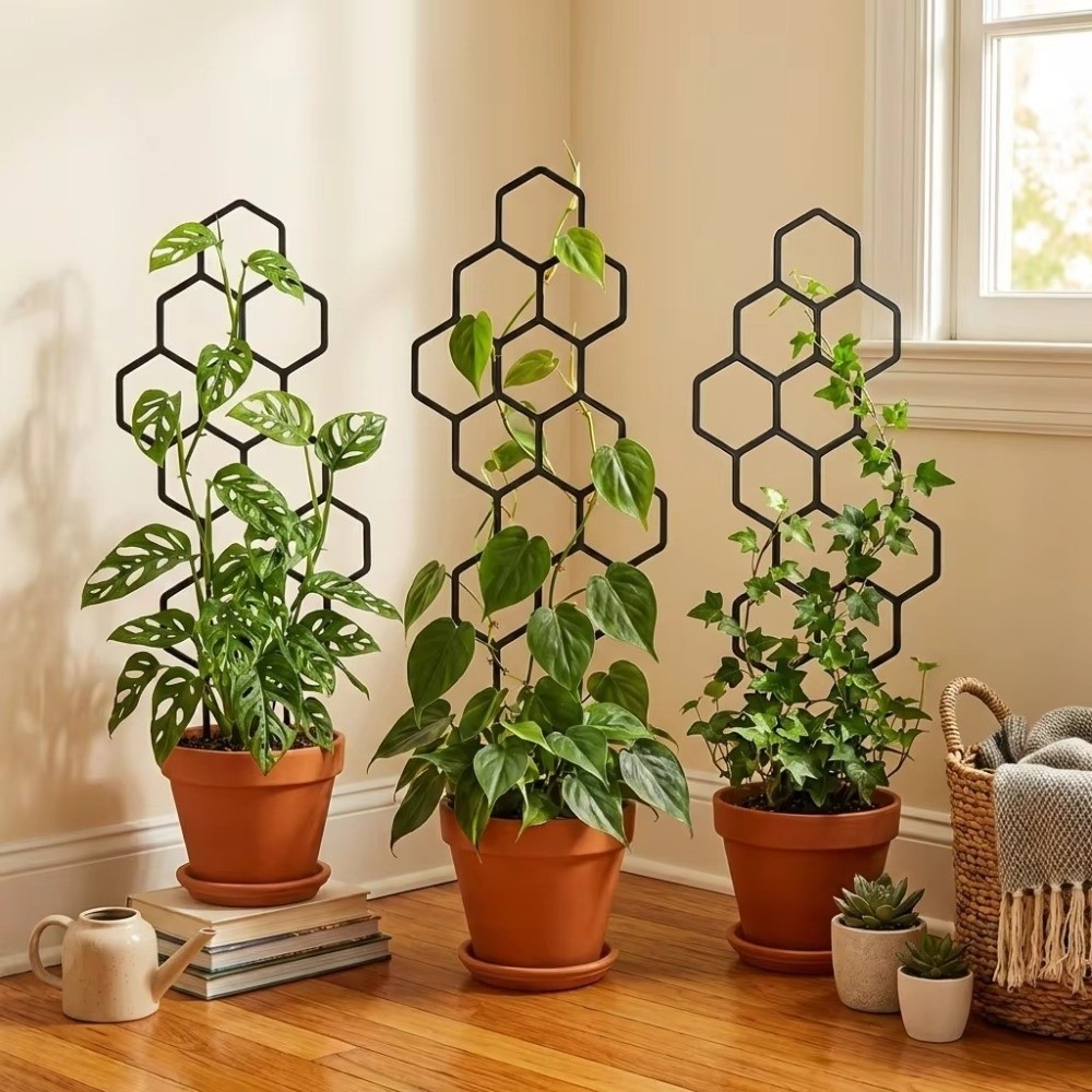 Indoor Herb Garden - Trellis Tanaman Desain Sarang Lebah Anti