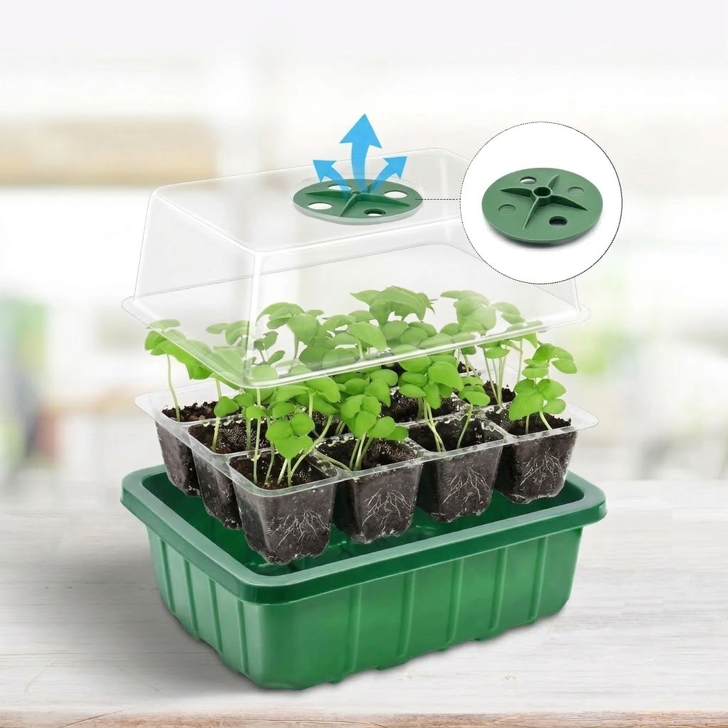 Kotak Semai Transparan dengan  - Seed Starter Tray ulasan dan harga