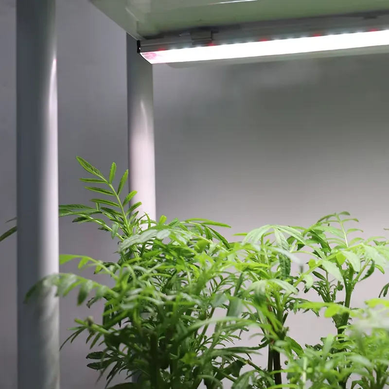 Rak Tanaman Vertikal 3 Tingkat - Indoor Herb Garden ulasan dan harga