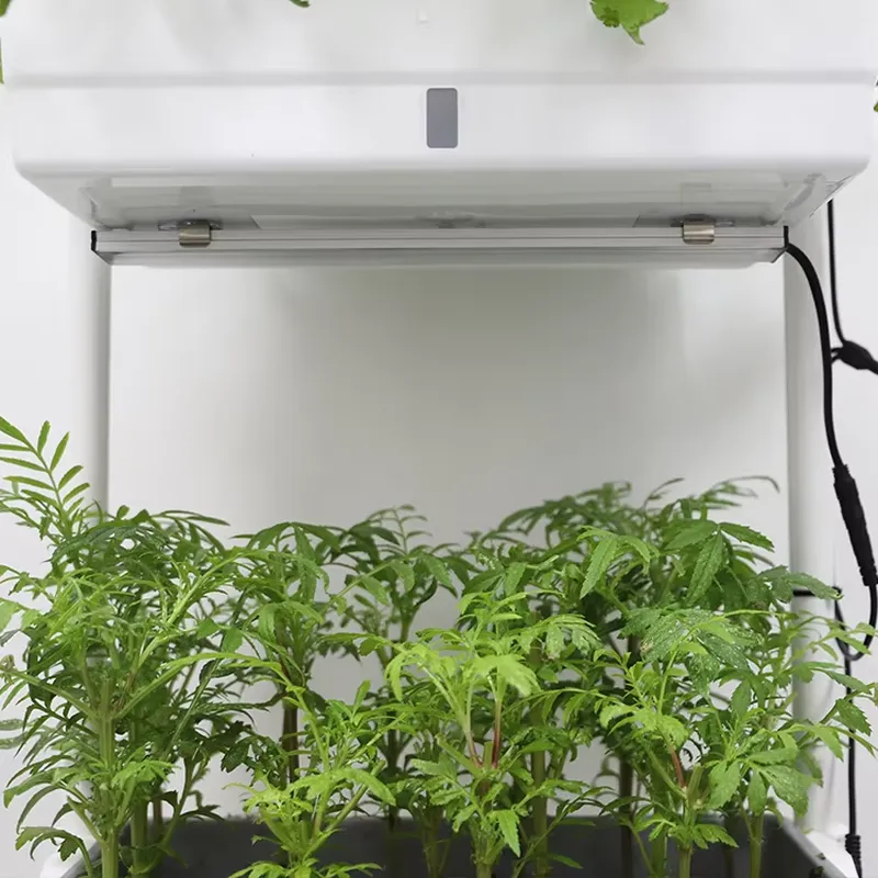 Rak Tanaman Vertikal 3 Tingkat - Indoor Herb Garden ulasan dan harga