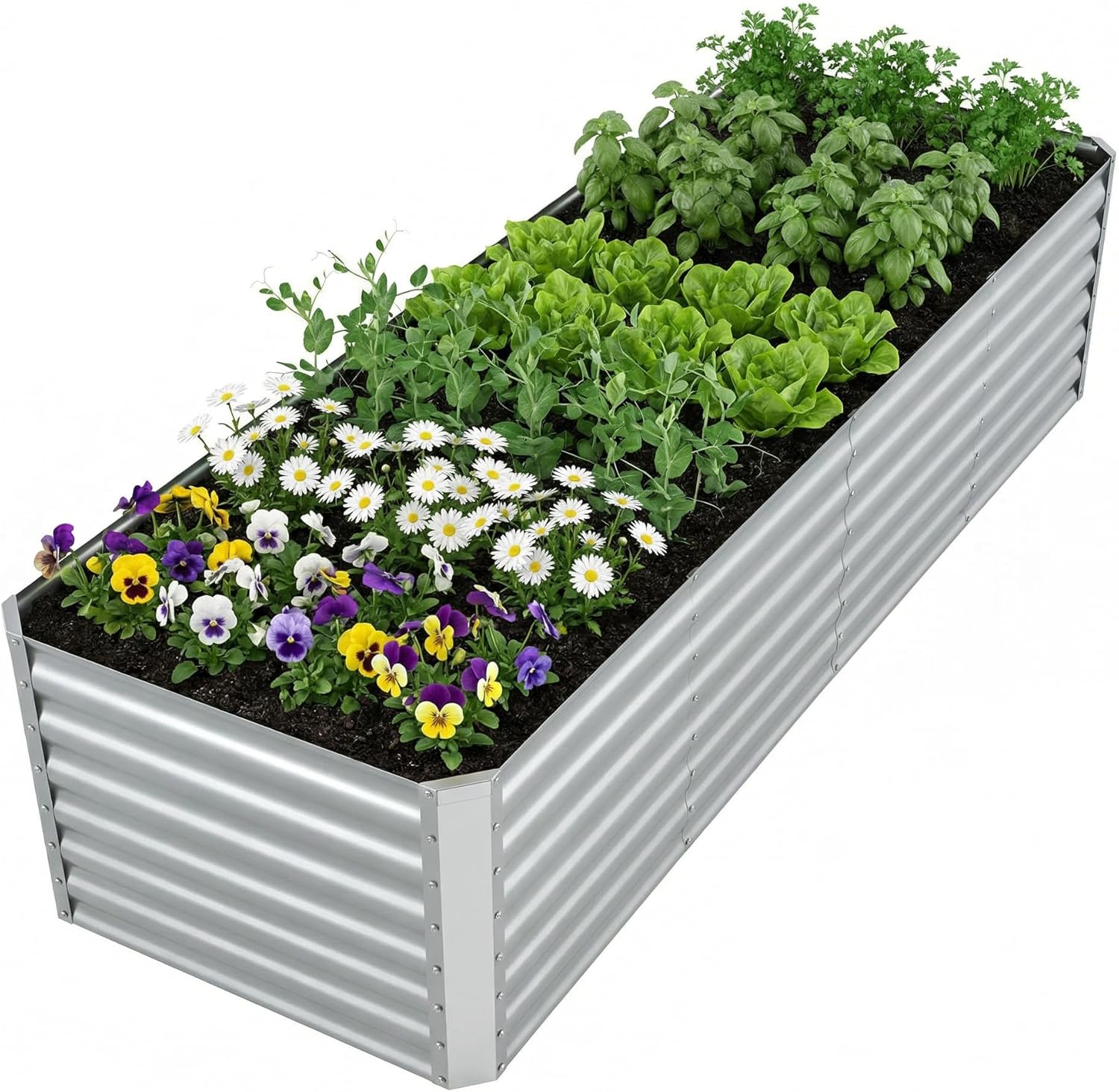 Kotak Tanam Terangkat Galvanis - Raised Garden Bed ulasan dan harga