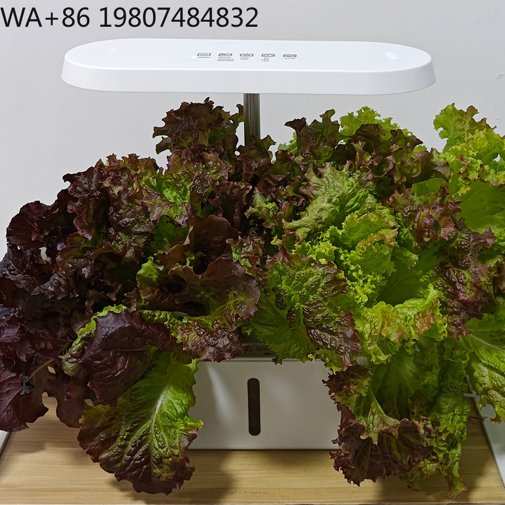 Kit Budidaya Hidroponik 8 Luba - Hydroponic Kit ulasan dan harga