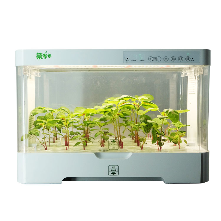 Lemari Penyimpanan Tanaman Pla - Hydroponic Kit ulasan dan harga