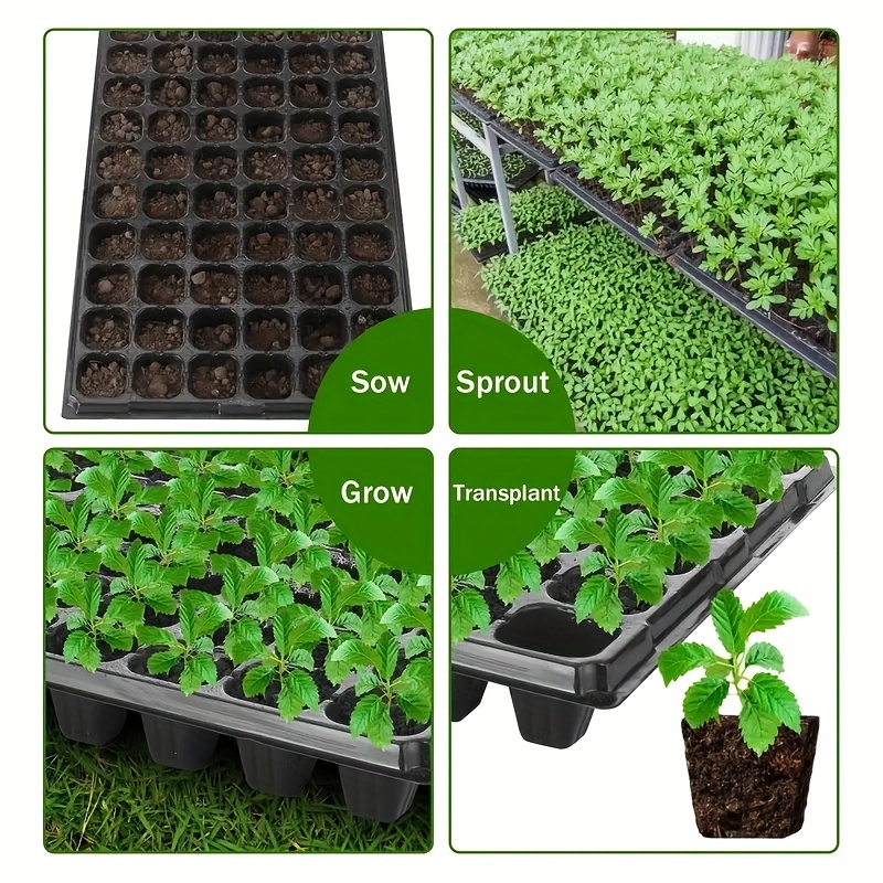 10-20 Tray untuk Pembibitan, T - Seed Starter Tray ulasan dan harga