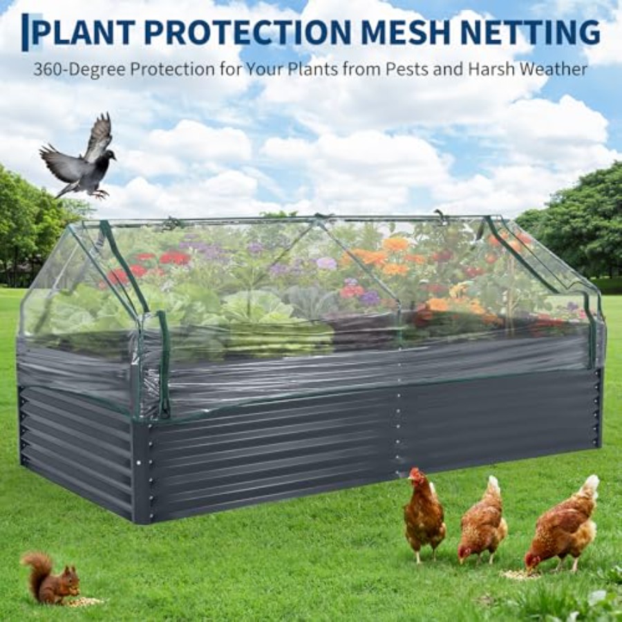 Berkebun sayur di luar ruangan - Raised Garden Bed ulasan dan harga
