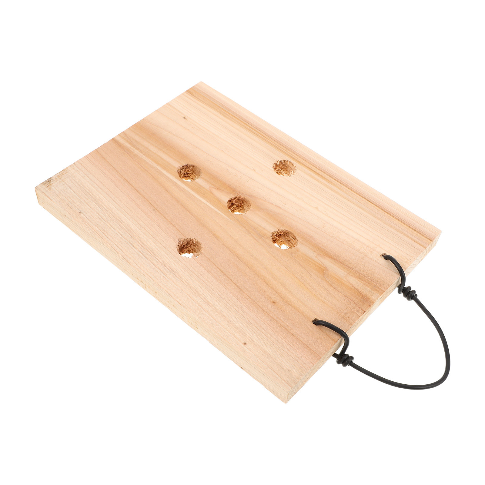 Papan Tanaman Dinding dari Kay - Vertical Planter ulasan dan harga