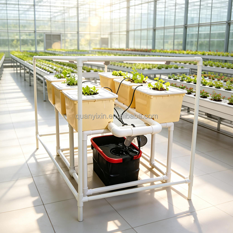 Kit Sistem Hidroponik Dutch Bu - Hydroponic Kit ulasan dan harga