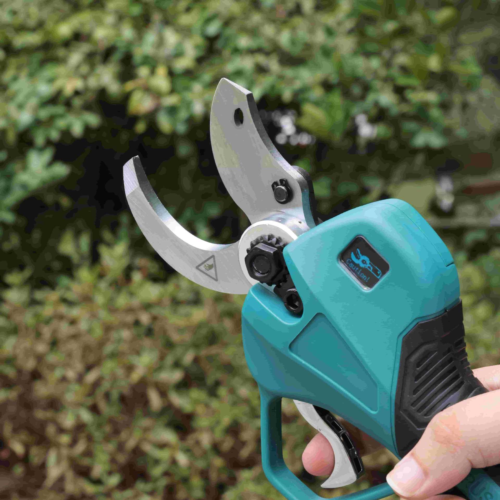 Gunting pangkas kebun tiang ti - Pruning Shears ulasan dan harga