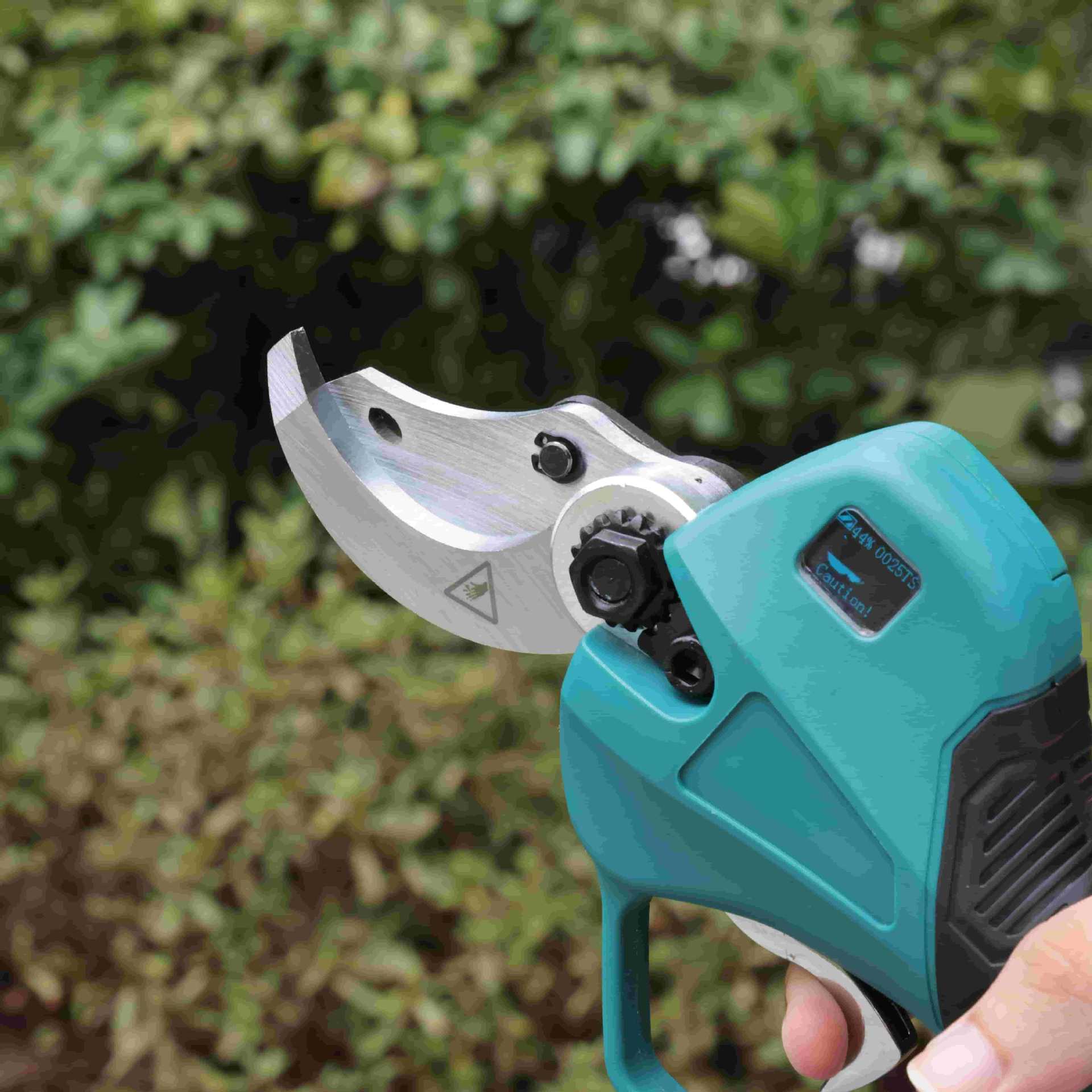 Gunting pangkas kebun tiang ti - Pruning Shears ulasan dan harga