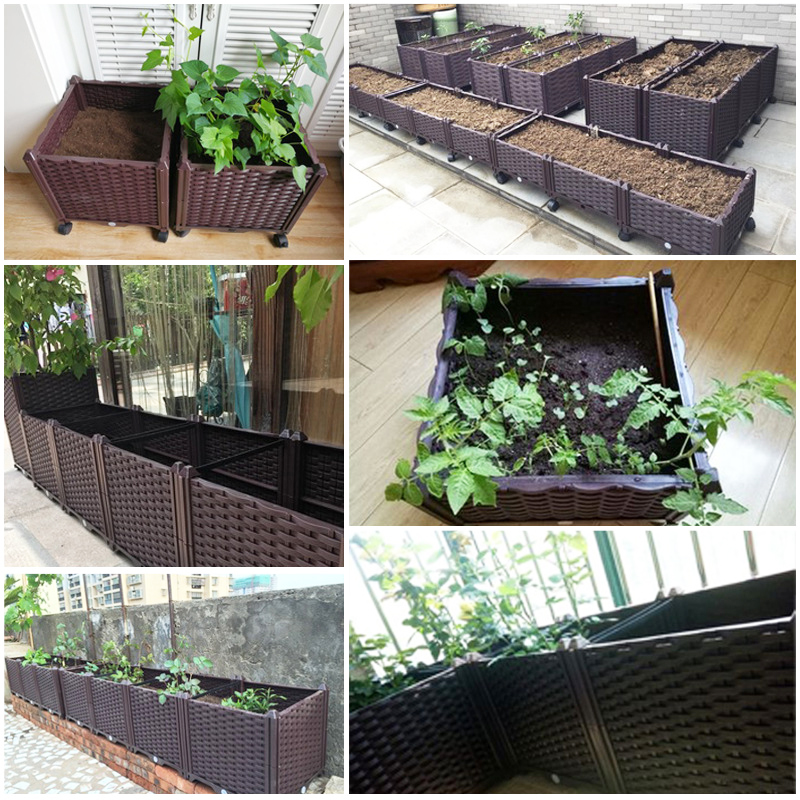 Kotak Tanaman Tinggi dengan Si - Indoor Herb Garden ulasan dan harga