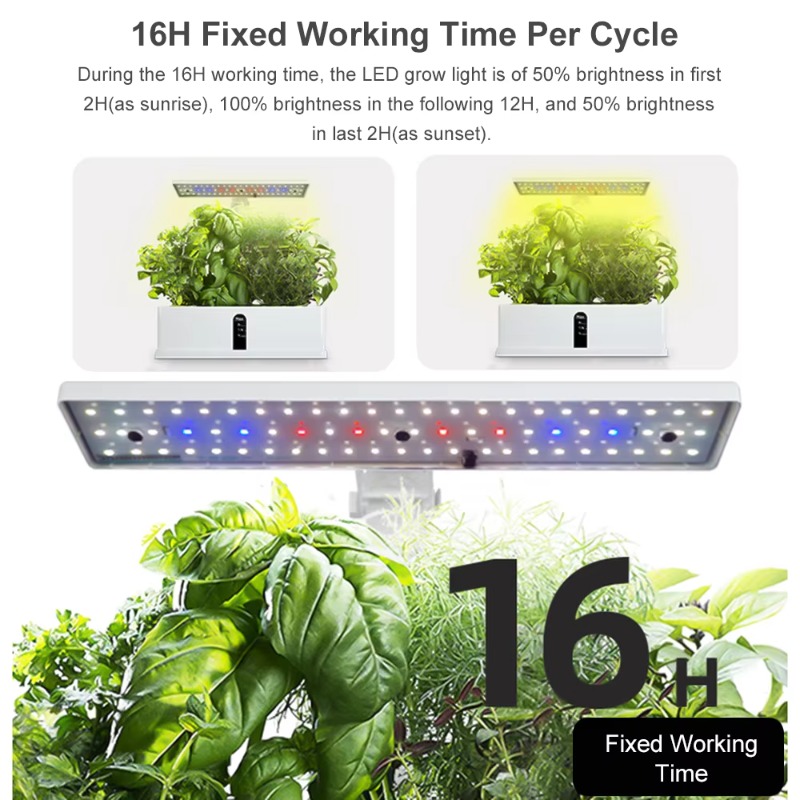 Sistem Penanaman Hidroponik Pi - Grow Light Led ulasan dan harga