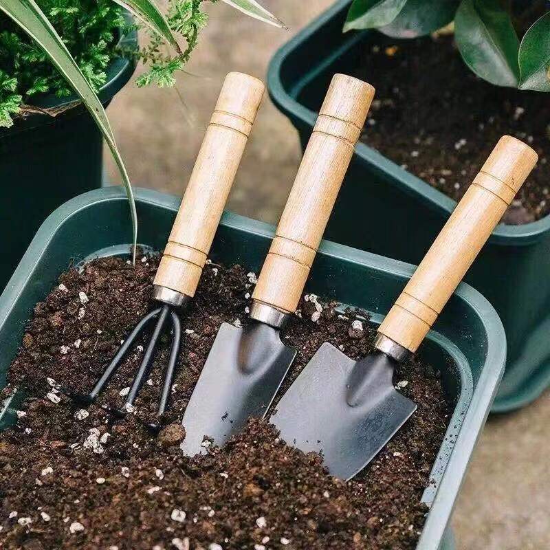 3 Buah/1Set Set Alat Berkebun  - Indoor Herb Garden ulasan dan harga