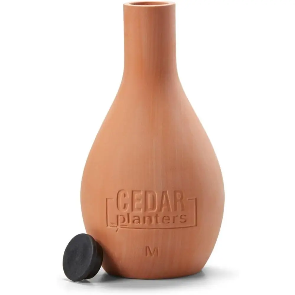 Pot Keramik Olla Penyiraman Ot - Self Watering Planter ulasan dan harga