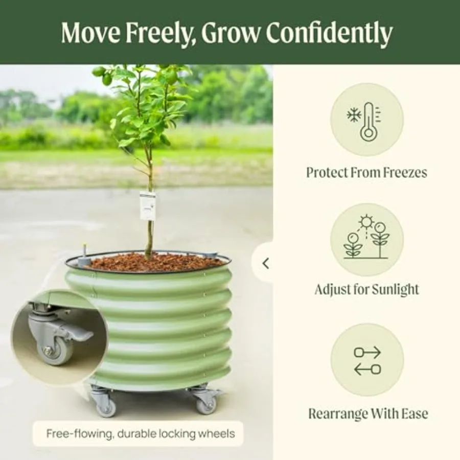 Pot Tanaman Pohon Jeruk Model  - Self Watering Planter ulasan dan harga