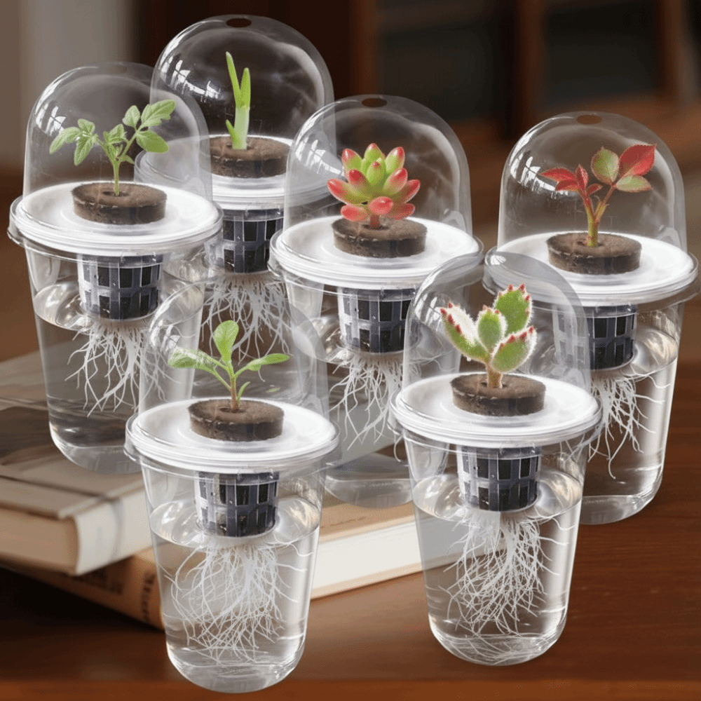 1-5pc Wadah Perkecambahan Tana - Seed Starter Tray ulasan dan harga