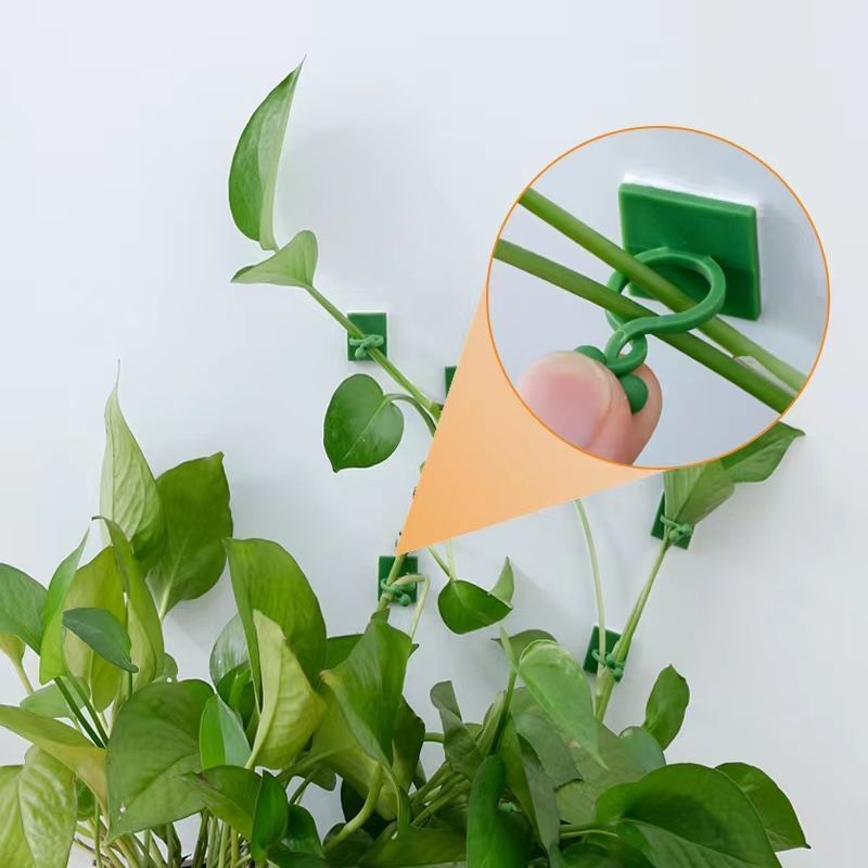 Klip Perekat Tanaman Merambat  - Indoor Herb Garden ulasan dan harga