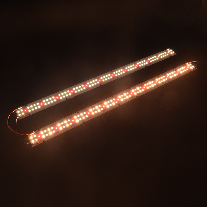 Lampu Tumbuh LED COB Berkualit - Grow Light Led ulasan dan harga