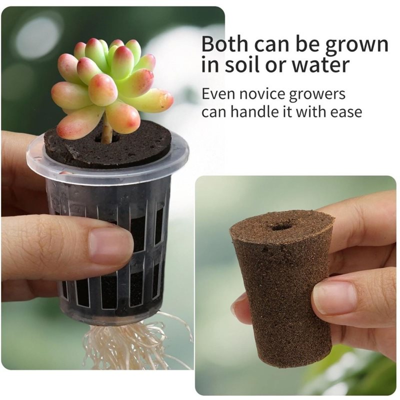 [ABFI!] Kit Sistem Pertumbuhan - Hydroponic Kit ulasan dan harga