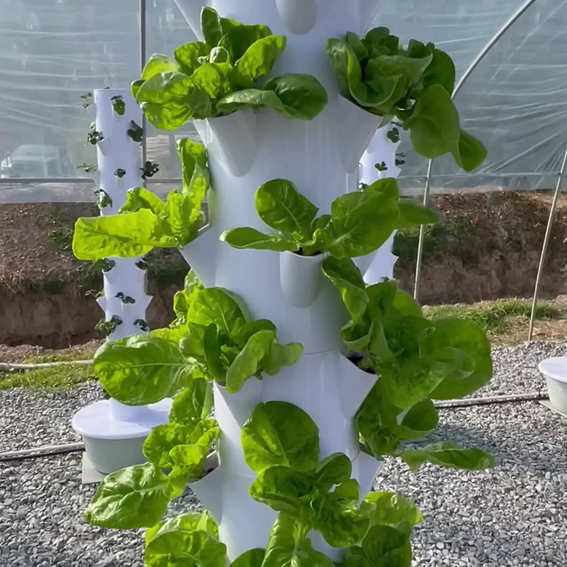 Dengan Led Lampu Tumbuh Pohon  - Vertical Planter ulasan dan harga