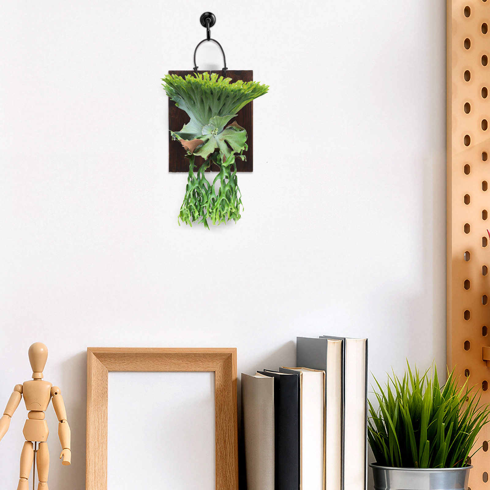 Papan Pemasangan Tanaman Pakis - Vertical Planter ulasan dan harga